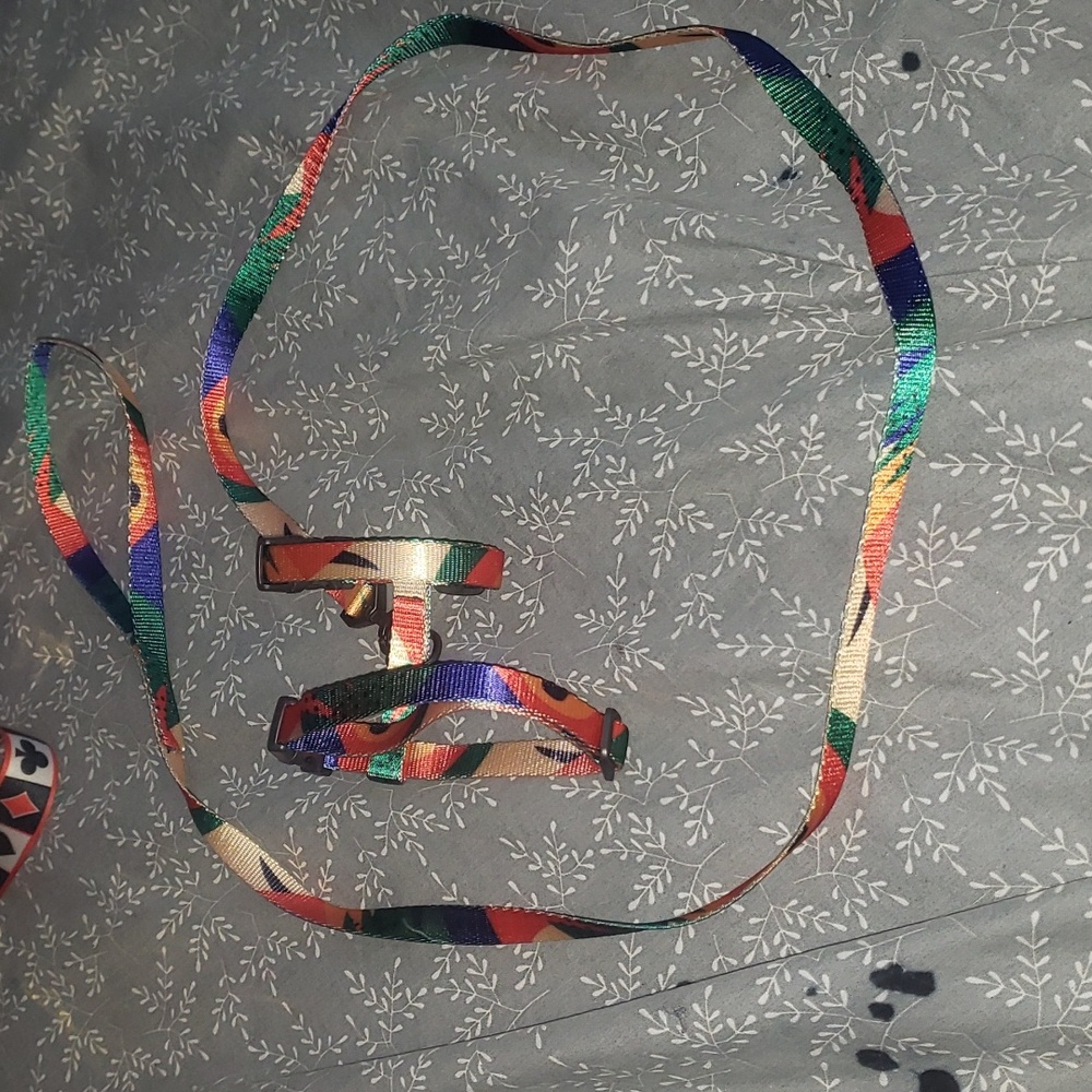 Dog or Cat harness and leash